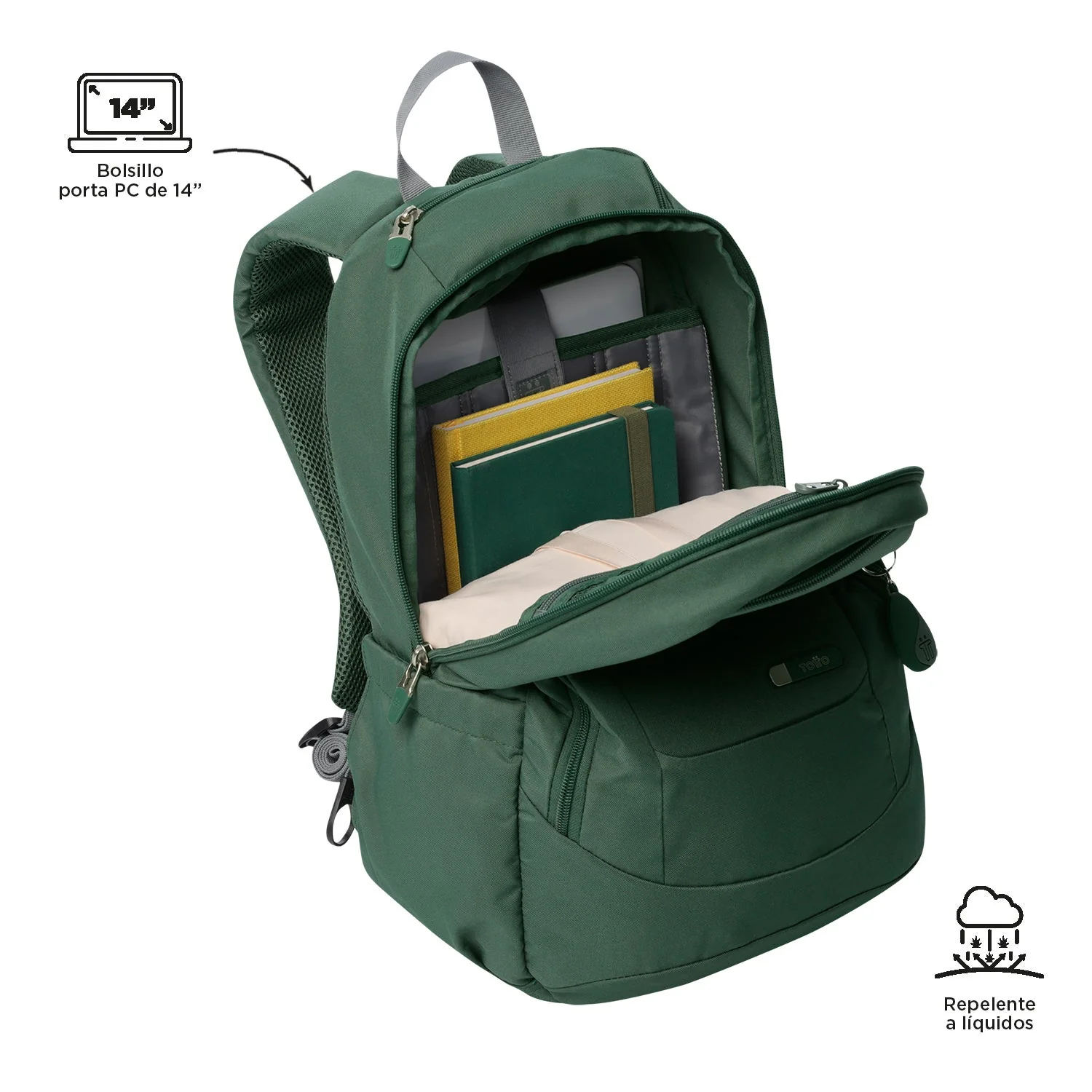 MORRAL GOCTAL - Image 76