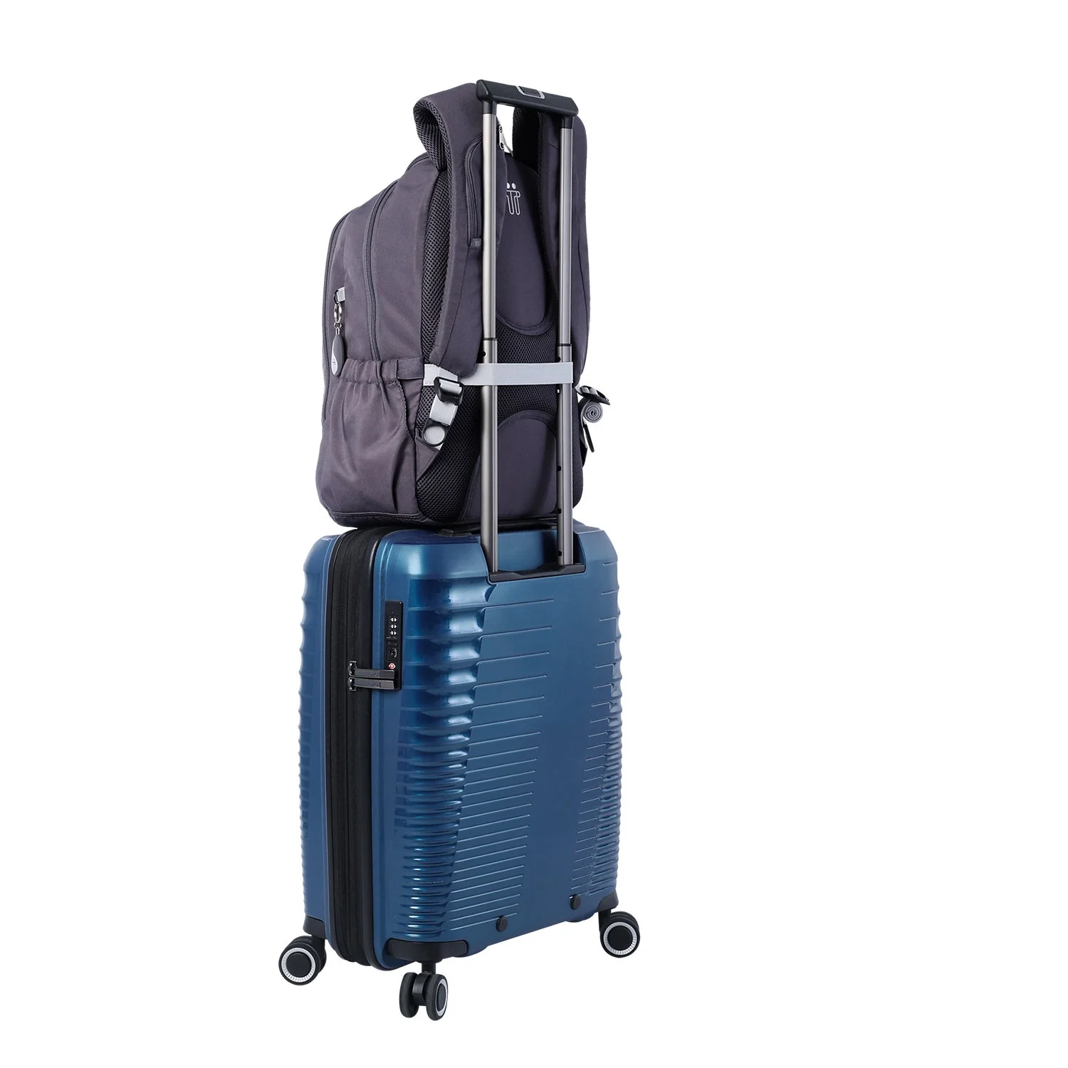 MORRAL GOCTAL - Image 85