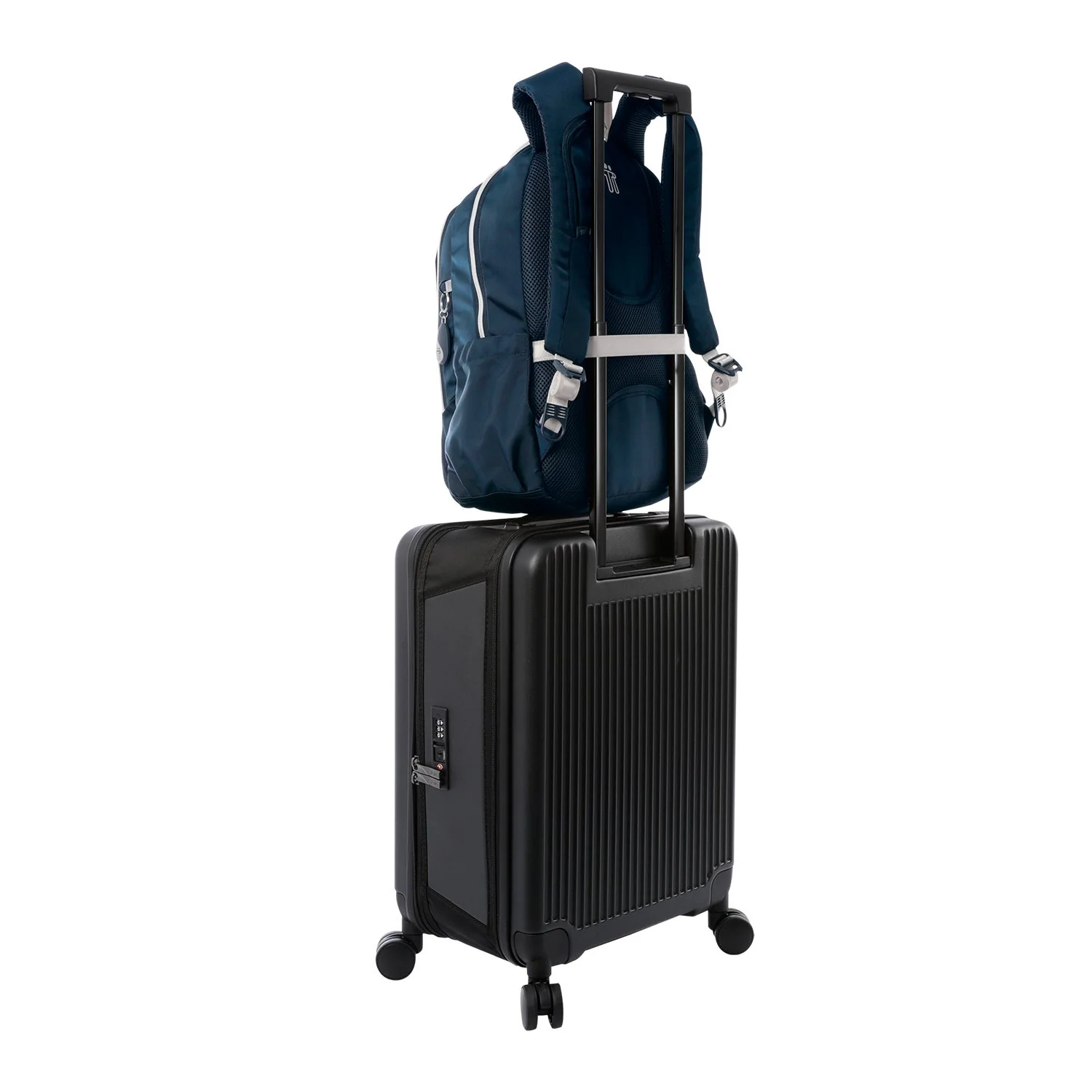 MORRAL GOCTAL - Image 90